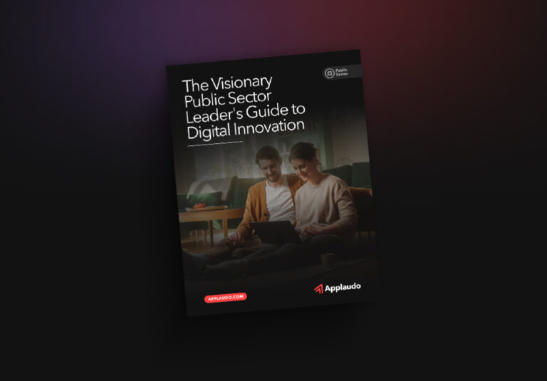 The Visionary Public Sector Leader’s Guide to Digital Innovation